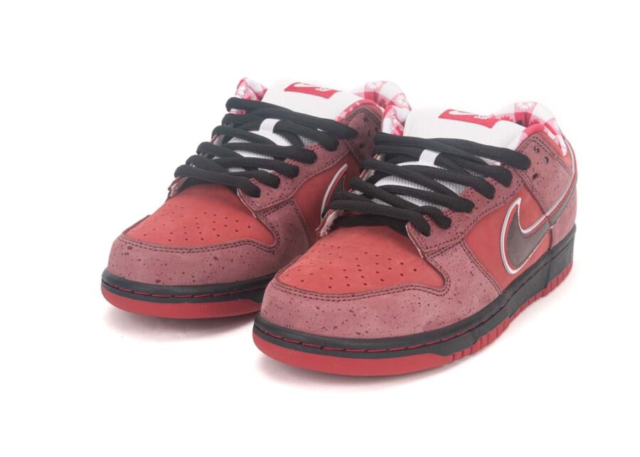 Nike Dunk SB Low Red Lobster 313170 661 4