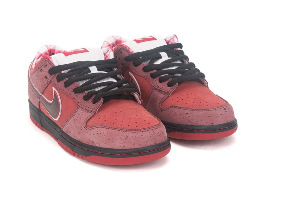 Nike Dunk SB Low Red Lobster 313170 661 5